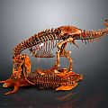 Medical Educational Dinosaur Skeleton Model For Anatomy Teaching And Research