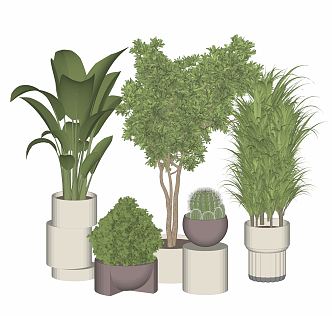 Modern potted plant green plant potted plant potted plant green plant ornaments landscape green plant 3d model