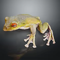 Detailed Close Up View Of Vibrant Green Frog With Striking Red Eyes On Dark Background