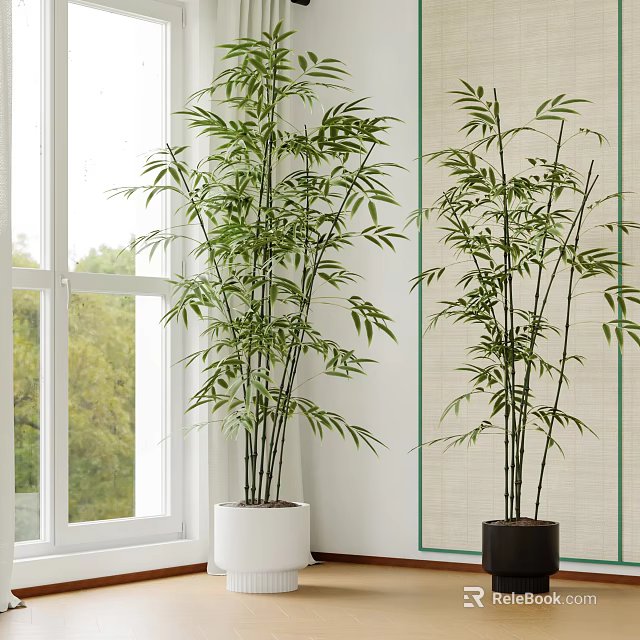 Lush Green Bamboo Bonsai Plants In White And Black Pots For Indoor Window Side Decor 3d model 
