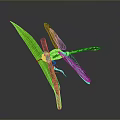 Yellow and Black Dragonfly Perching on Green Leaf Against Gray Background