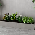 Potted Plants In Rectangular Gray Planter With Various Green Indoor Decorative Foliage 3d model