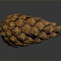 Natural Brown Pine Cone Studio Close Up With Detailed Scaly Surface Texture 3d model