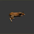 Young Brown And White Deer With White Spots Lying On Smooth Reflective Surface 3d model