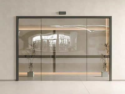 Modern Glass Sliding Door With Black Frame In Interior Design Featuring Decorative Plants 3d model