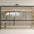 Modern Glass Sliding Door With Black Frame In Interior Design Featuring Decorative Plants