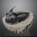 Ancient Trilobite Fossil With Preserved Organ Structure And Hair Like Details On Stone Base