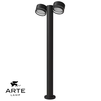 Modern Black Outdoor Light Pole With Double Illuminating Heads For Garden Use 3d model