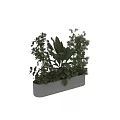 Gray Concrete Tree Planter Filled With Diverse Green Plants And Foliage