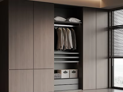 Modern Wardrobe Design With Upper Pillows Hanging Shirts Storage Boxes And Drawers 3d model
