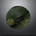 Fresh Green Round Zucchini Vegetable With Striped Skin And Healthy Food Option
