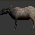 Realistic 3D Model of Bull With Brown Black Fur Standing on Gray Background