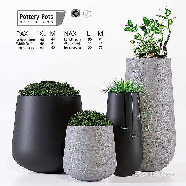Modern Decorative Ceramic Plant Pot Set With Various Sizes And Green Plants 3d model 