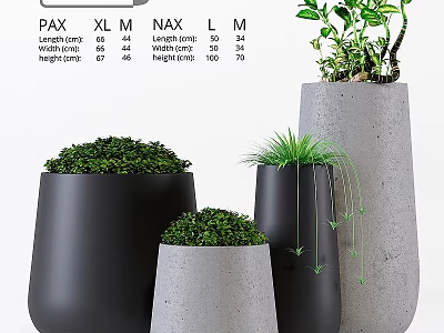 Modern Decorative Ceramic Plant Pot Set With Various Sizes And Green Plants 3d model