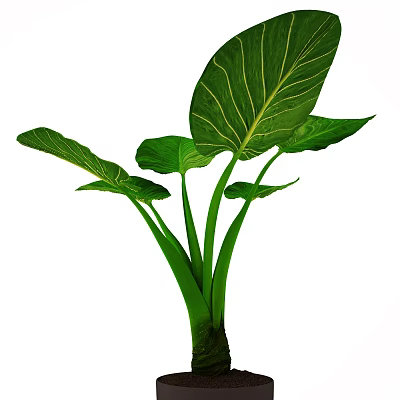 Modern potted plant potted furnishings combination 3d model