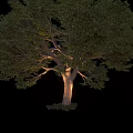 Lush Arbor Showcasing Dense Green Foliage Strong Trunk and Natural Shape Isolated on Black Background