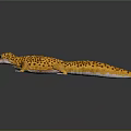 Yellow and Brown Spotted Gecko Lying on Smooth Black Surface with Reflection 3d model