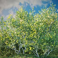 Vibrant Shrub with Green Leaves Yellow Flowers Under Blue Sky White Clouds and Green Grass