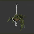 Hanging Potted Plant With Lush Green Leaves In Macramé Rope Hanger