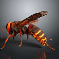 Orange Black Striped Hornet With Transparent Wings And Long Legs On Dark Background 3d model