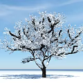 The Modern Tree 3d model