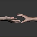 Human Hand Organ Displaying Natural Hair On Skin Surface In Closeup View