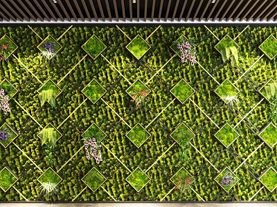 Indoor Living Green Plant Wall With Grid Pattern And Various Greenery Decor Design 3d model