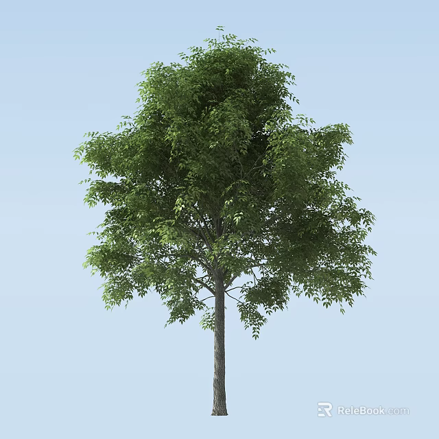 Lush Green Arbor With Strong Trunk And Dense Foliage Against Clear Sky 3d model 