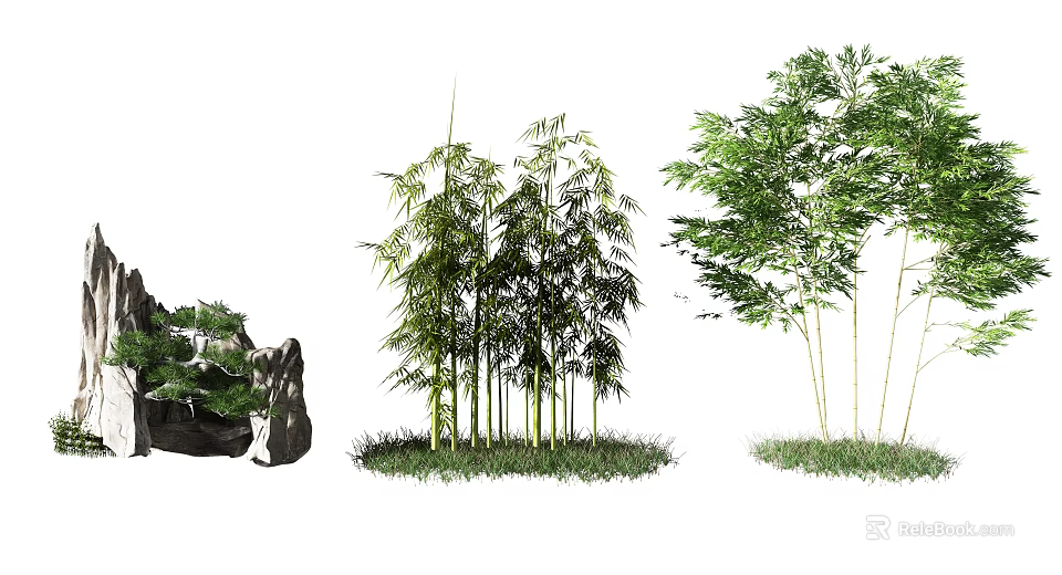 Bamboo Plants In Natural Landscape With Green Grass And Decorative Stone 3d model 