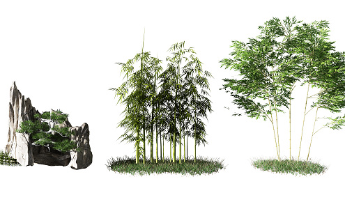 Modern bamboo landscape sketch 3d model