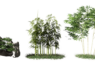 Modern bamboo landscape sketch 3d model