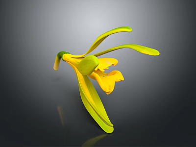 Beautiful Bonsai Plant With Yellow Flowers And Green Leaves On Dark Background 3d model