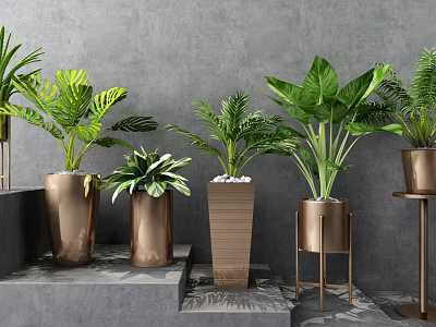 Modern Potted Plants With Green Foliage In Metal Containers On Steps And Grey Background 3d model