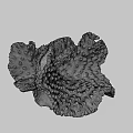 Unique Porous Coral Like Marine Structure With Natural Textured Surface