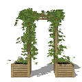 Nordic Vine 3d model