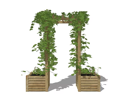 Lush Green Vines Covering Wooden Arch With Wooden Planters In Outdoor Garden 3d model