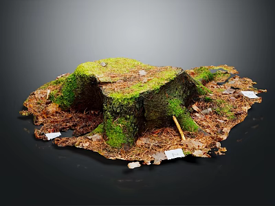 Natural Wooden Tree Stump Covered With Green Moss Surrounded By Fallen Leaves And Natural Ground 3d model
