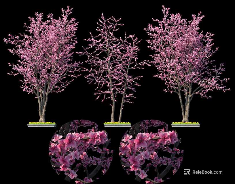 Pink Flowering Trees With Different Bloom Stages And Round Shrubs 3d model