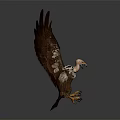 Majestic Eagle Displaying Spread Brown And White Feathers On Gray Background 3d model