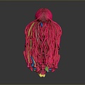 Mop head thread group hemp rope decoration props wool daily necessities 3d model