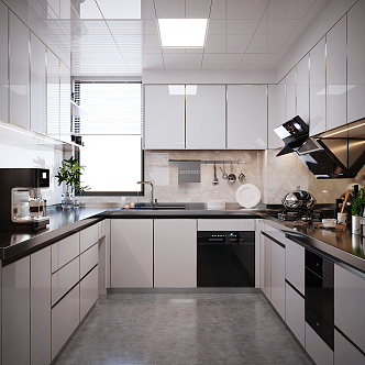 Modern Kitchen 3d model