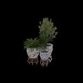 Decorative Bonsai Potted Plants In Blue And White Porcelain Pots With Fish Dragon Patterns
