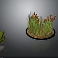 Green Frog Sitting Beside Circular Water Grass Model With Orange Flowers And Soil