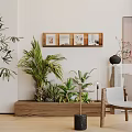 Lush Indoor Plants With Framed Pictures On Wooden Shelf And Armchair
