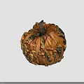 Organic Orange Pumpkin With Green And Brown Spots And Curved Stem