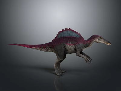 Dinosaur Jurassic Pterosaur Long-necked Tyrannosaurus Tyrannosaurus Stegosaurus Bretosaurus Triceratops Shark Toothosaurus Ancient Animals 3d model