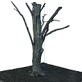 Bare Branch Arbor With Thick Trunk And Exposed Roots In Surrounding Soil 3d model