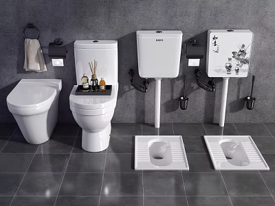 White Toilet Bowls and Squat Toilets in Modern Bathroom with Water Tanks and Accessories 3d model