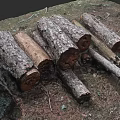 Stacked Seasoned Firewood Logs for Cozy Fireplace in Natural Outdoor Setting