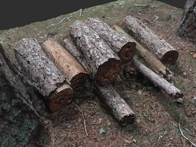 Stacked Seasoned Firewood Logs for Cozy Fireplace in Natural Outdoor Setting 3d model